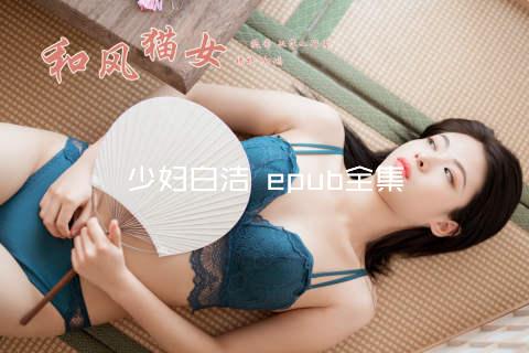 少妇白洁 epub全集